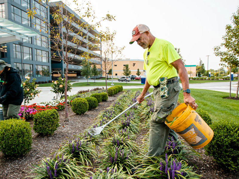 commercial landscaping