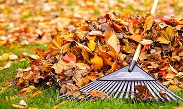 A Better Cut Tree Service - Landscaping & Tree Services Coralville, IA