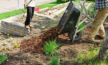 A Better Cut Tree Service - Tree Service & Landscaping in Iowa CIty & Surrounding Areas