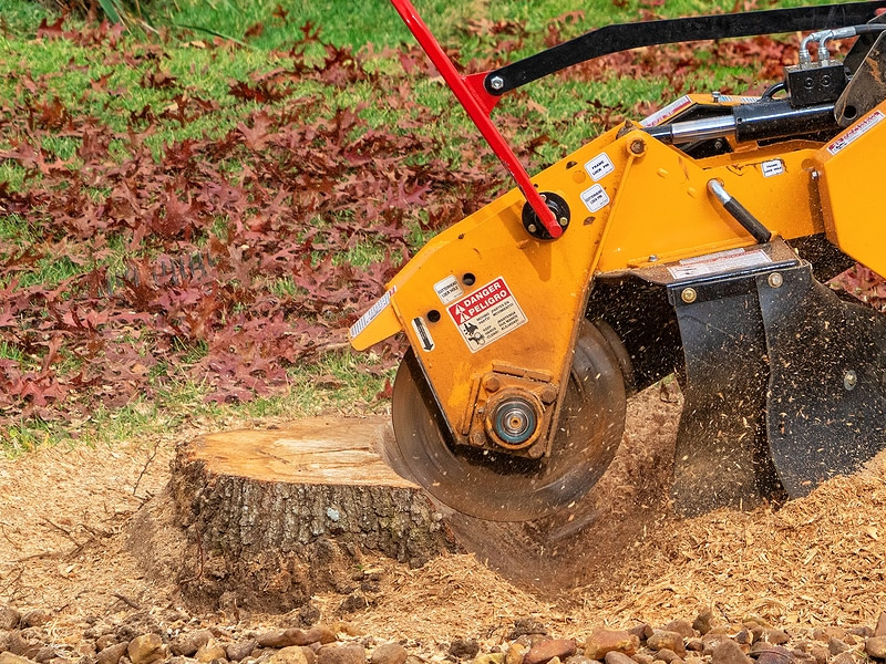 tree stump removal